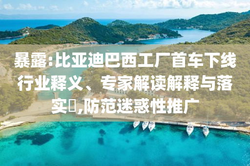 暴露:比亞迪巴西工廠首車下線行業(yè)釋義、專家解讀解釋與落實?,防范迷惑性推廣