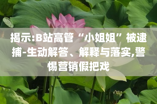 揭示:B站高管“小姐姐”被逮捕-生動解答、解釋與落實(shí),警惕營銷假把戲