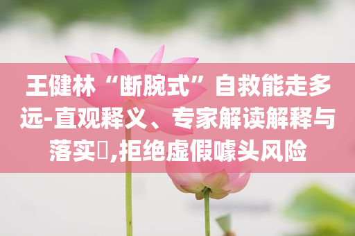王健林“斷腕式”自救能走多遠-直觀釋義、專家解讀解釋與落實?,拒絕虛假噱頭風險