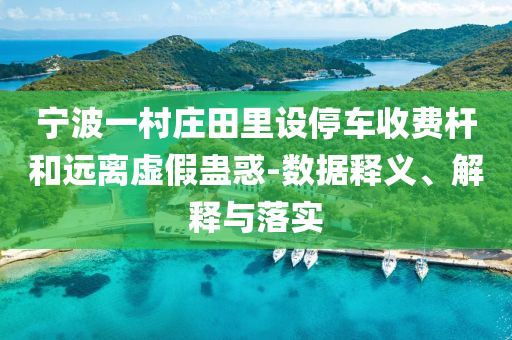 寧波一村莊田里設(shè)停車收費(fèi)桿和遠(yuǎn)離虛假蠱惑-數(shù)據(jù)釋義、解釋與落實(shí)