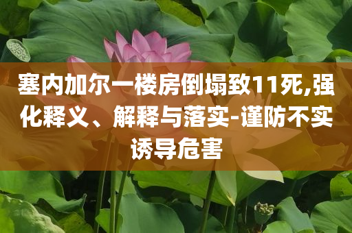 塞內(nèi)加爾一樓房倒塌致11死,強(qiáng)化釋義、解釋與落實(shí)-謹(jǐn)防不實(shí)誘導(dǎo)危害