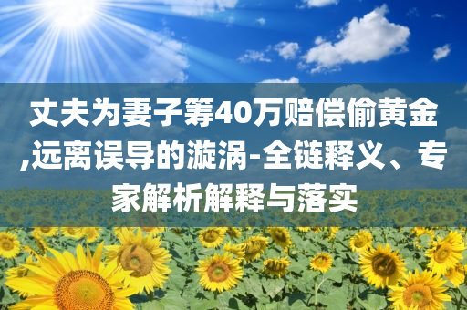 丈夫為妻子籌40萬賠償偷黃金,遠離誤導的漩渦-全鏈釋義、專家解析解釋與落實