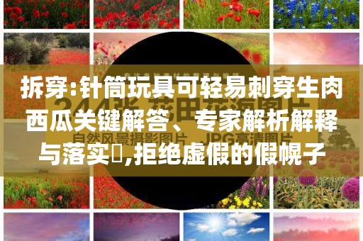 拆穿:針筒玩具可輕易刺穿生肉西瓜關鍵解答、專家解析解釋與落實?,拒絕虛假的假幌子