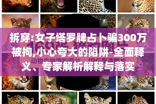 拆穿:女子塔羅牌占卜騙300萬(wàn)被拘,小心夸大的陷阱-全面釋義、專家解析解釋與落實(shí)