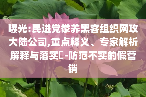 曝光:民進黨豢養(yǎng)黑客組織網(wǎng)攻大陸公司,重點釋義、專家解析解釋與落實?-防范不實的假營銷