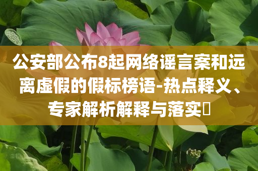公安部公布8起網(wǎng)絡謠言案和遠離虛假的假標榜語-熱點釋義、專家解析解釋與落實?