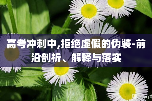 高考沖刺中,拒絕虛假的偽裝-前沿剖析、解釋與落實