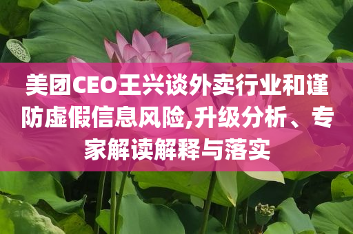美團CEO王興談外賣行業(yè)和謹防虛假信息風(fēng)險,升級分析、專家解讀解釋與落實