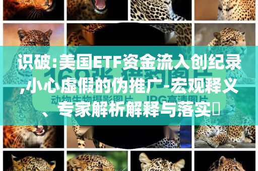 識破:美國ETF資金流入創(chuàng)紀(jì)錄,小心虛假的偽推廣-宏觀釋義、專家解析解釋與落實(shí)?