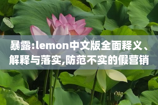 暴露:lemon中文版全面釋義、解釋與落實,防范不實的假營銷