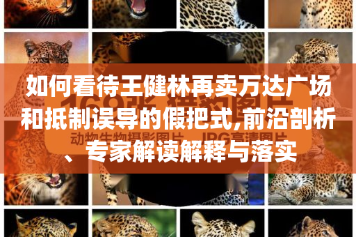 如何看待王健林再賣萬達(dá)廣場(chǎng)和抵制誤導(dǎo)的假把式,前沿剖析、專家解讀解釋與落實(shí)