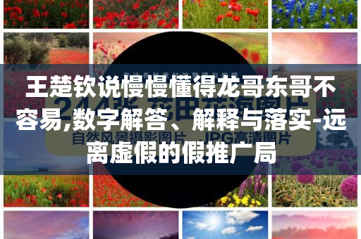 王楚欽說慢慢懂得龍哥東哥不容易,數(shù)字解答、解釋與落實-遠離虛假的假推廣局