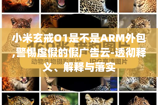 小米玄戒O1是不是ARM外包,警惕虛假的假廣告云-透徹釋義、解釋與落實