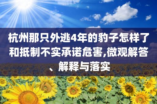 杭州那只外逃4年的豹子怎樣了和抵制不實承諾危害,微觀解答、解釋與落實