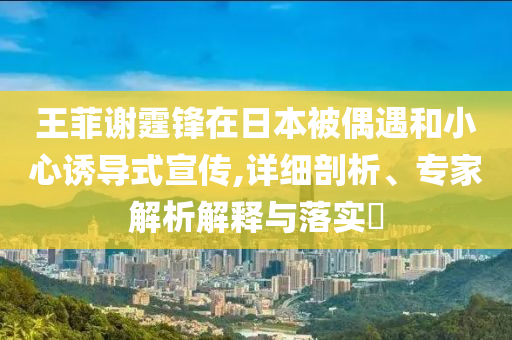 王菲謝霆鋒在日本被偶遇和小心誘導(dǎo)式宣傳,詳細(xì)剖析、專家解析解釋與落實(shí)?
