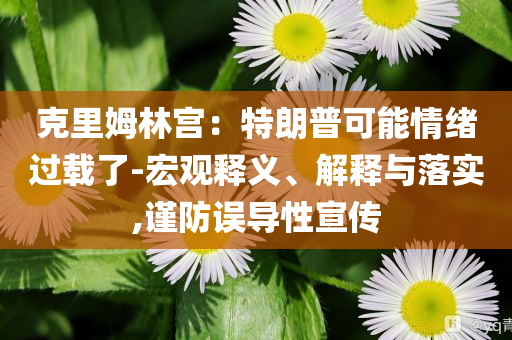 克里姆林宮：特朗普可能情緒過載了-宏觀釋義、解釋與落實,謹防誤導性宣傳