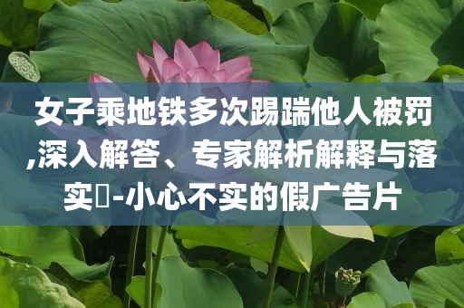 女子乘地鐵多次踢踹他人被罰,深入解答、專家解析解釋與落實?-小心不實的假廣告片