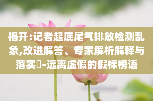 揭開:記者起底尾氣排放檢測(cè)亂象,改進(jìn)解答、專家解析解釋與落實(shí)?-遠(yuǎn)離虛假的假標(biāo)榜語(yǔ)