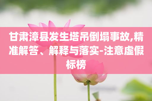 甘肅漳縣發(fā)生塔吊倒塌事故,精準(zhǔn)解答、解釋與落實(shí)-注意虛假標(biāo)榜