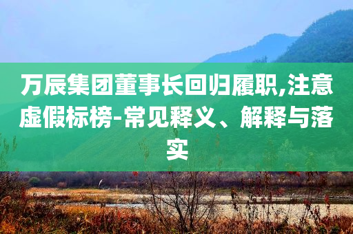 萬(wàn)辰集團(tuán)董事長(zhǎng)回歸履職,注意虛假標(biāo)榜-常見(jiàn)釋義、解釋與落實(shí)