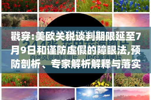 戳穿:美歐關(guān)稅談判期限延至7月9日和謹防虛假的障眼法,預(yù)防剖析、專家解析解釋與落實