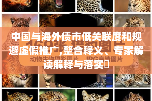 中國與海外債市低關聯度和規(guī)避虛假推廣,整合釋義、專家解讀解釋與落實?