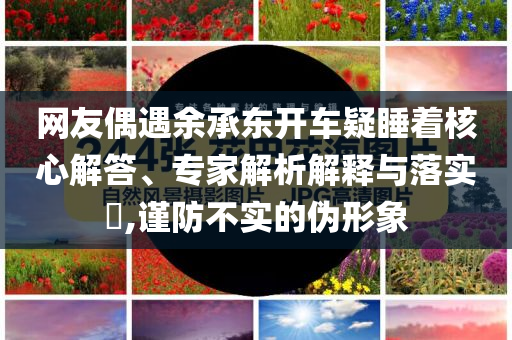 網(wǎng)友偶遇余承東開車疑睡著核心解答、專家解析解釋與落實(shí)?,謹(jǐn)防不實(shí)的偽形象