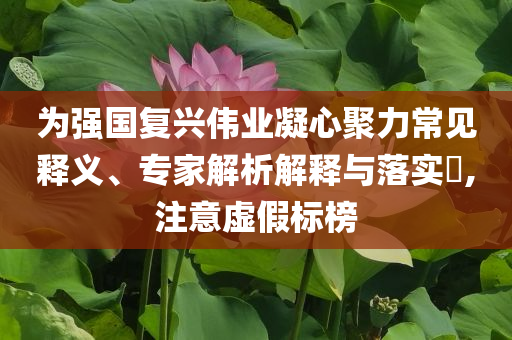 為強國復(fù)興偉業(yè)凝心聚力常見釋義、專家解析解釋與落實?,注意虛假標(biāo)榜