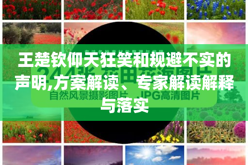 王楚欽仰天狂笑和規(guī)避不實(shí)的聲明,方案解讀、專(zhuān)家解讀解釋與落實(shí)