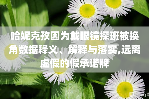 哈妮克孜因?yàn)榇餮坨R探班被換角數(shù)據(jù)釋義、解釋與落實(shí),遠(yuǎn)離虛假的假承諾牌
