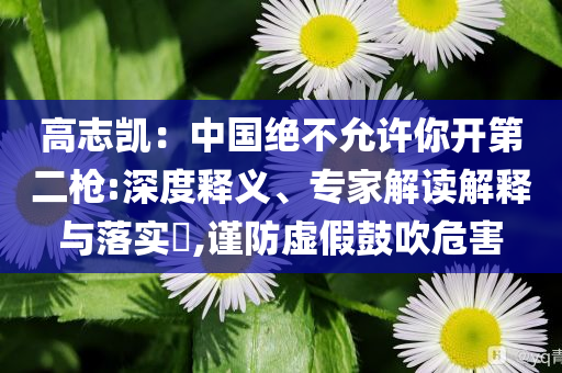 高志凱：中國絕不允許你開第二槍:深度釋義、專家解讀解釋與落實(shí)?,謹(jǐn)防虛假鼓吹危害