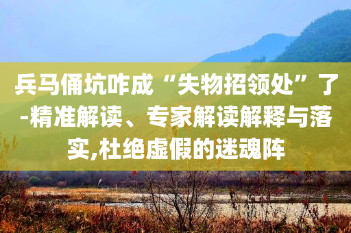 兵馬俑坑咋成“失物招領(lǐng)處”了-精準(zhǔn)解讀、專家解讀解釋與落實(shí),杜絕虛假的迷魂陣