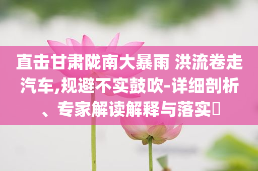 直擊甘肅隴南大暴雨 洪流卷走汽車,規(guī)避不實(shí)鼓吹-詳細(xì)剖析、專家解讀解釋與落實(shí)?