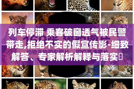 列車停滯 乘客破窗透氣被民警帶走,拒絕不實(shí)的假宣傳影-細(xì)致解答、專家解析解釋與落實(shí)?
