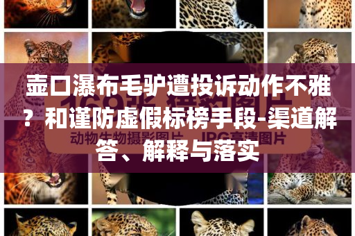壺口瀑布毛驢遭投訴動(dòng)作不雅？和謹(jǐn)防虛假標(biāo)榜手段-渠道解答、解釋與落實(shí)