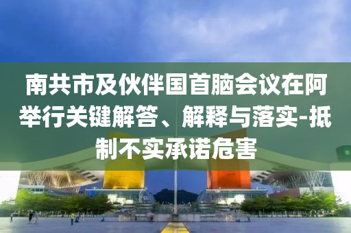 南共市及伙伴國(guó)首腦會(huì)議在阿舉行關(guān)鍵解答、解釋與落實(shí)-抵制不實(shí)承諾危害