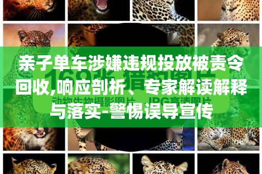 親子單車涉嫌違規(guī)投放被責(zé)令回收,響應(yīng)剖析、專家解讀解釋與落實(shí)-警惕誤導(dǎo)宣傳