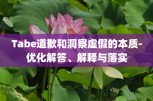 Tabe道歉和洞察虛假的本質(zhì)-優(yōu)化解答、解釋與落實