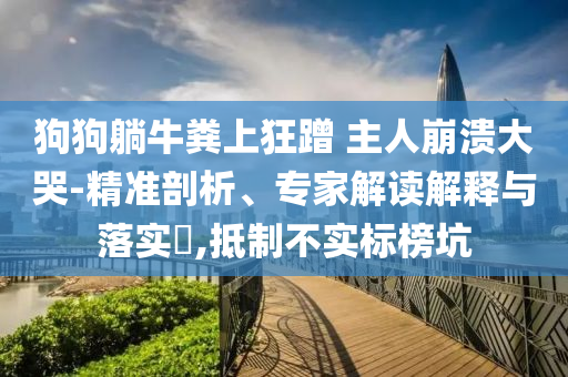 狗狗躺牛糞上狂蹭 主人崩潰大哭-精準(zhǔn)剖析、專家解讀解釋與落實(shí)?,抵制不實(shí)標(biāo)榜坑