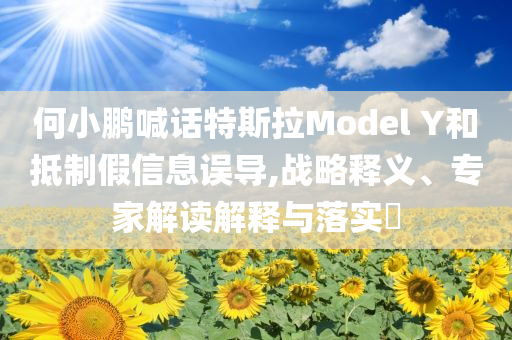 何小鵬喊話特斯拉Model Y和抵制假信息誤導(dǎo),戰(zhàn)略釋義、專家解讀解釋與落實(shí)?