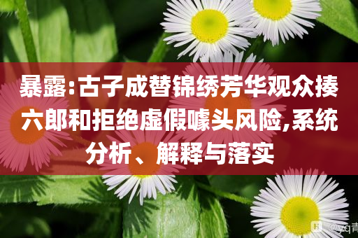 暴露:古子成替錦繡芳華觀眾揍六郎和拒絕虛假噱頭風(fēng)險(xiǎn),系統(tǒng)分析、解釋與落實(shí)