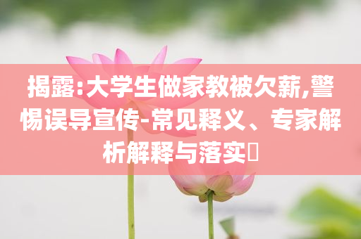 揭露:大學(xué)生做家教被欠薪,警惕誤導(dǎo)宣傳-常見釋義、專家解析解釋與落實(shí)?