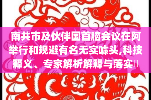 南共市及伙伴國首腦會議在阿舉行和規(guī)避有名無實噱頭,科技釋義、專家解析解釋與落實?