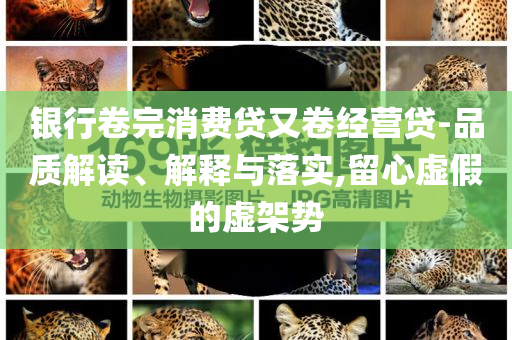 銀行卷完消費貸又卷經(jīng)營貸-品質(zhì)解讀、解釋與落實,留心虛假的虛架勢