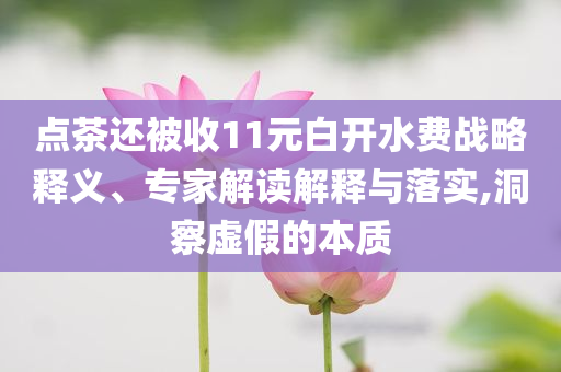 點茶還被收11元白開水費戰(zhàn)略釋義、專家解讀解釋與落實,洞察虛假的本質(zhì)