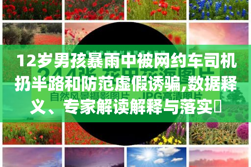 12歲男孩暴雨中被網(wǎng)約車司機(jī)扔半路和防范虛假誘騙,數(shù)據(jù)釋義、專家解讀解釋與落實?