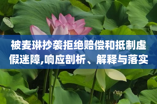被麥琳抄襲拒絕賠償和抵制虛假迷障,響應(yīng)剖析、解釋與落實(shí)