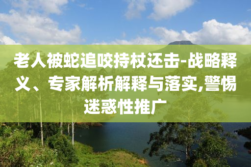 老人被蛇追咬持杖還擊-戰(zhàn)略釋義、專家解析解釋與落實(shí),警惕迷惑性推廣