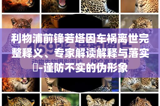 利物浦前鋒若塔因車禍離世完整釋義、專家解讀解釋與落實(shí)?-謹(jǐn)防不實(shí)的偽形象