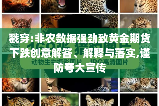 戳穿:非農(nóng)數(shù)據(jù)強(qiáng)勁致黃金期貨下跌創(chuàng)意解答、解釋與落實(shí),謹(jǐn)防夸大宣傳